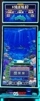 A Experiência Imersiva dos Cassinos Ao Vivo no 05Bet